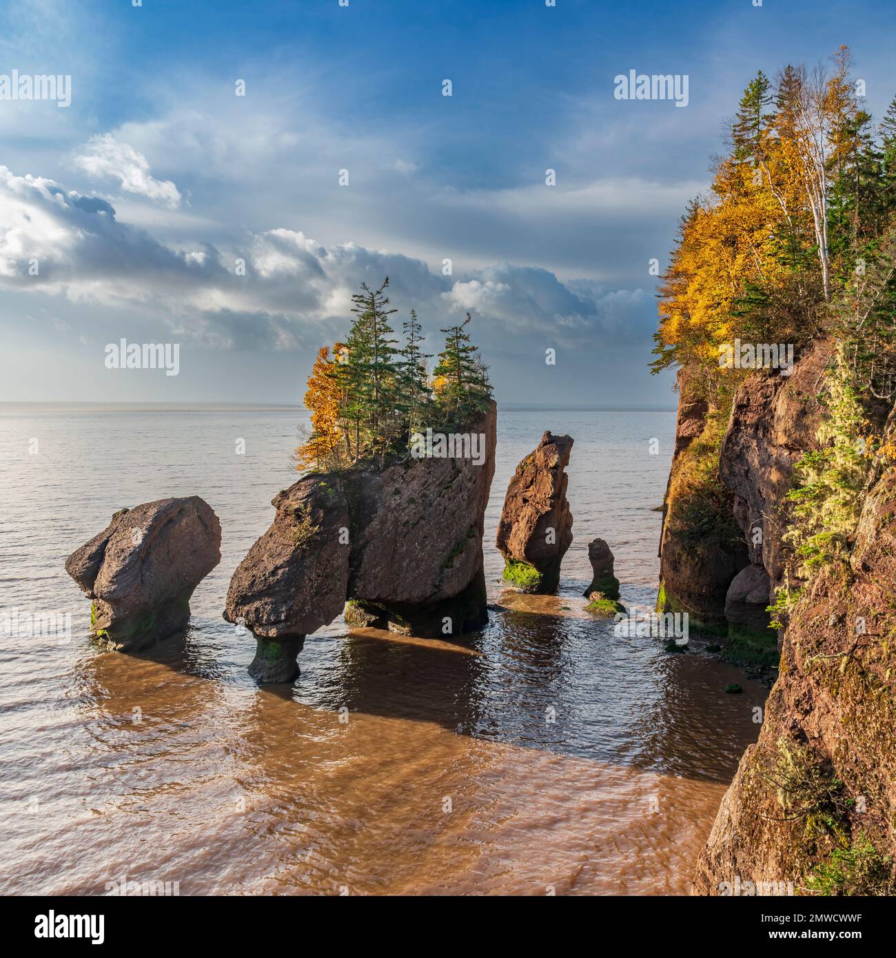 Hopewell rocks provi9ncial park hi-res stock photography and images - Alamy