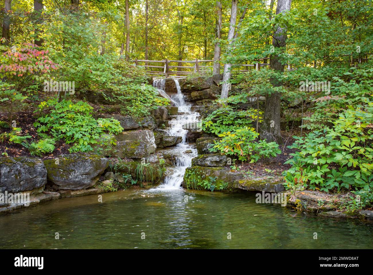 Weather for Ridgedale Missouri