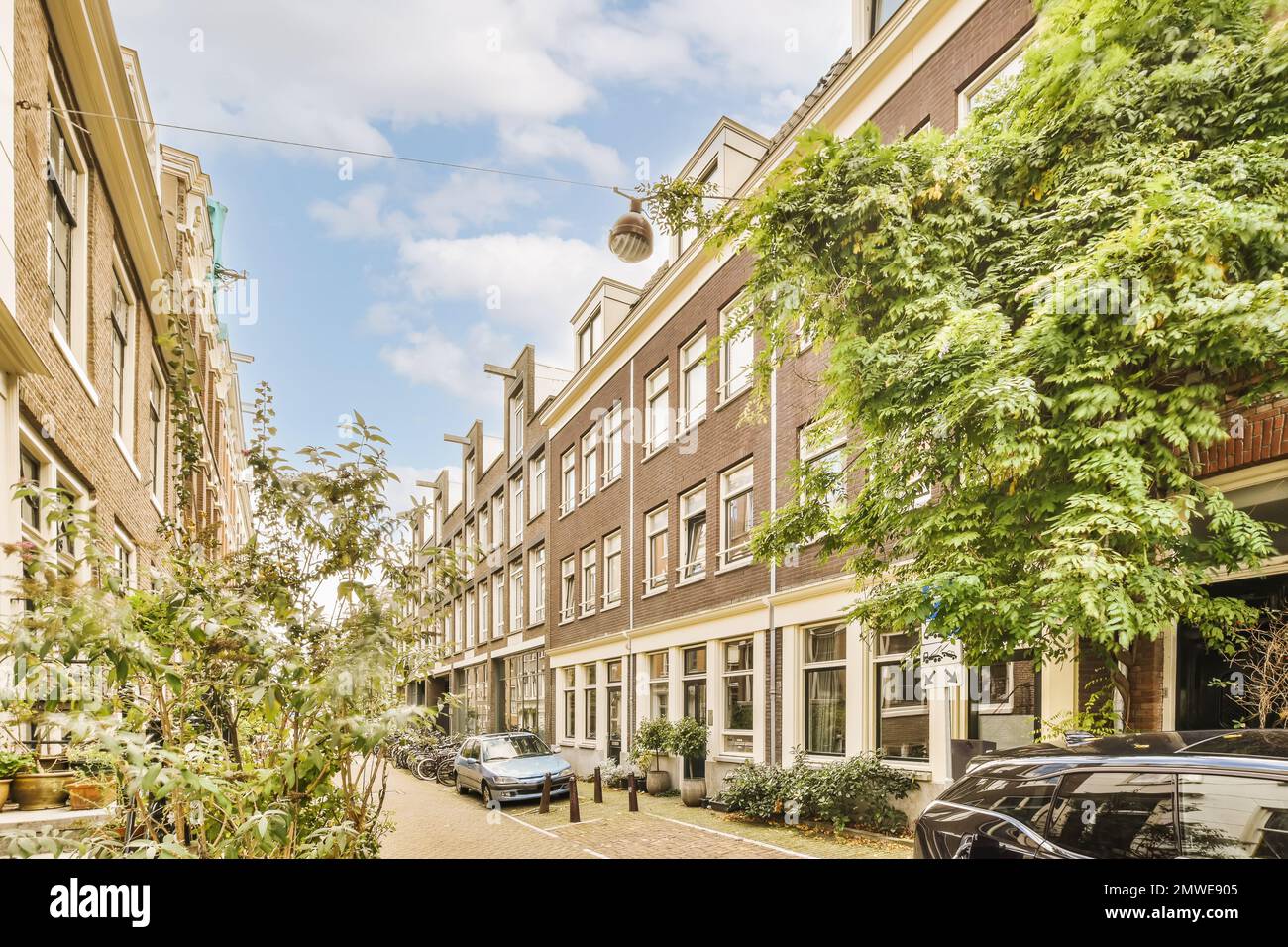 a street with cars parked on the side and trees growing in the alleys ...