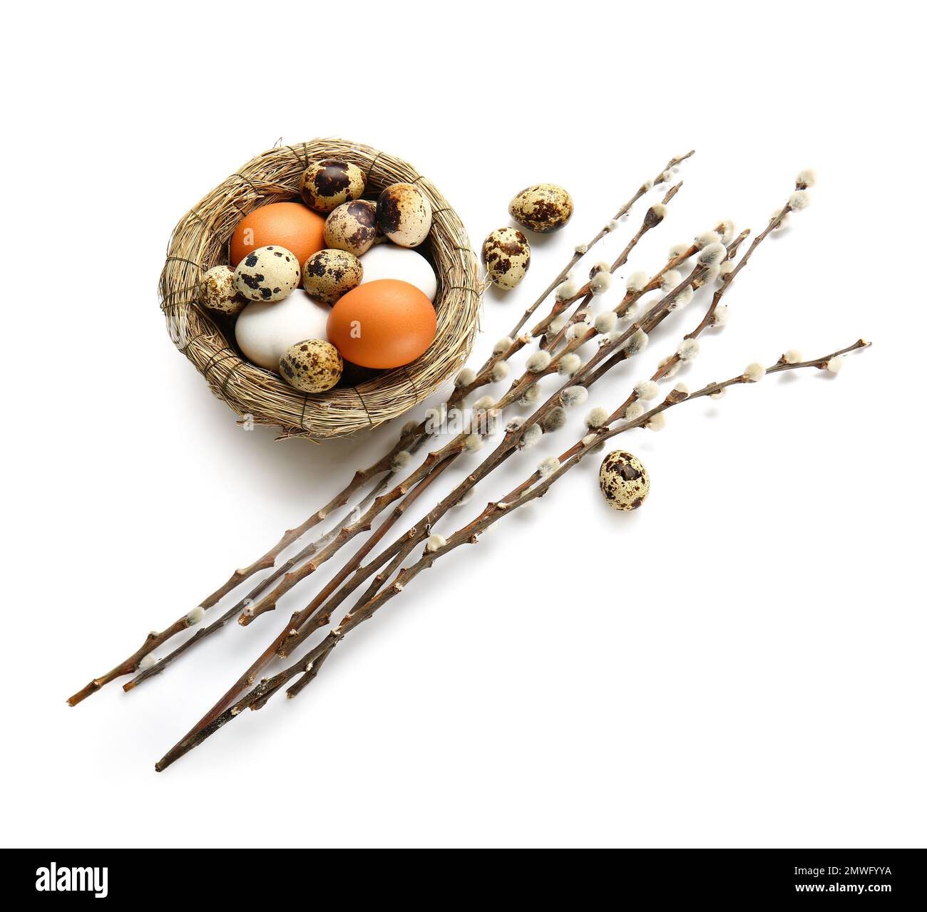 Nest with Easter eggs and willow branches isolated on white background ...