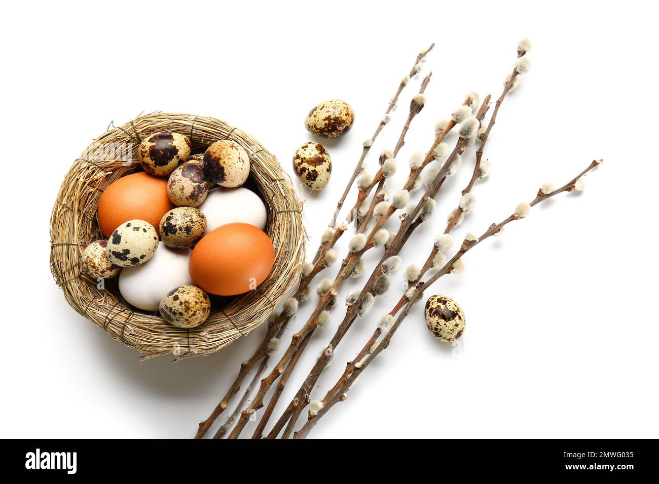 Nest with Easter eggs and willow branches isolated on white background ...