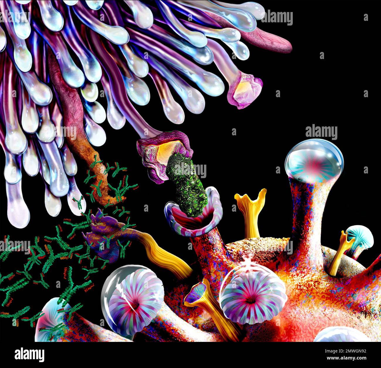 Cell Inhibition Sign T cell immune checkpoint inhibition, illustration Stock Photo - Alamy