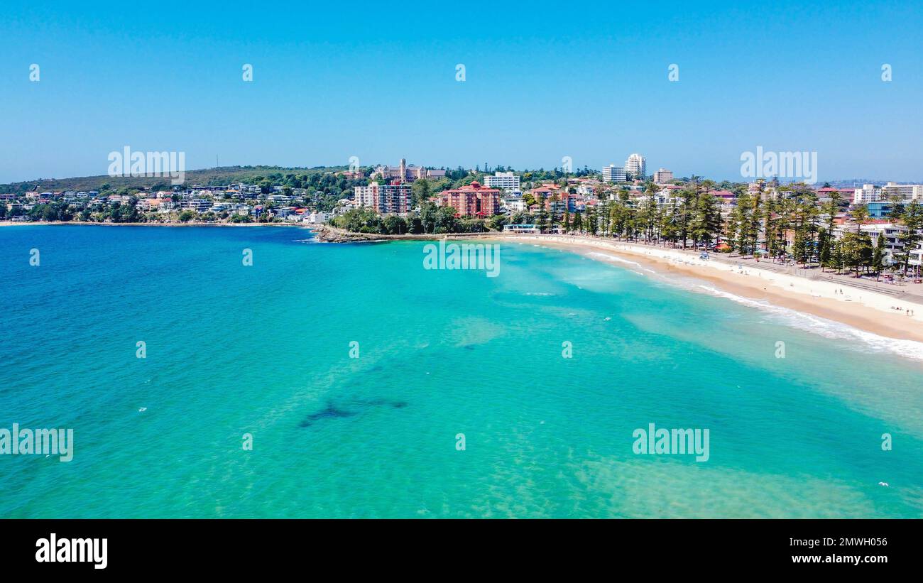 An aerial shot of modern buildings on the shore of Manly Beach in
