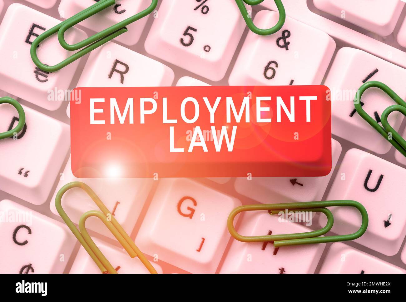Sign displaying Employment Law. Word for deals with legal rights and
