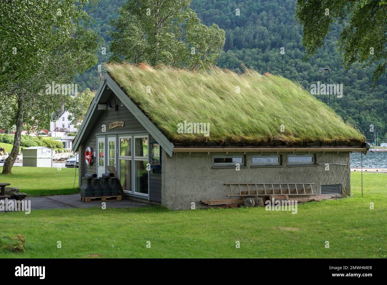 A building in forest surrounded by dense trees in Kinsarvik Stock Photo ...