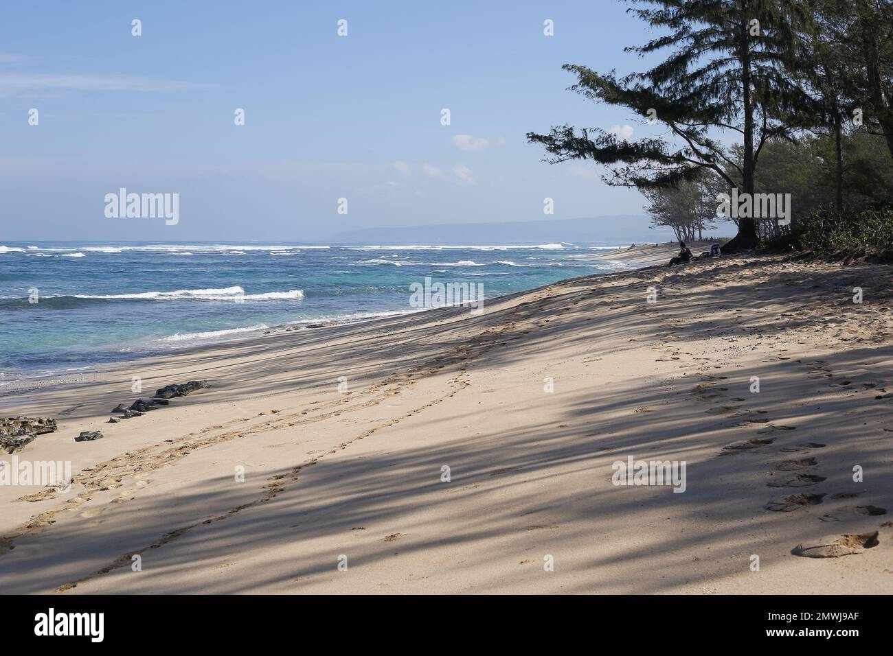 oahu, hawaii, 2023/20/01, Polo beach, Located across from Dillingham