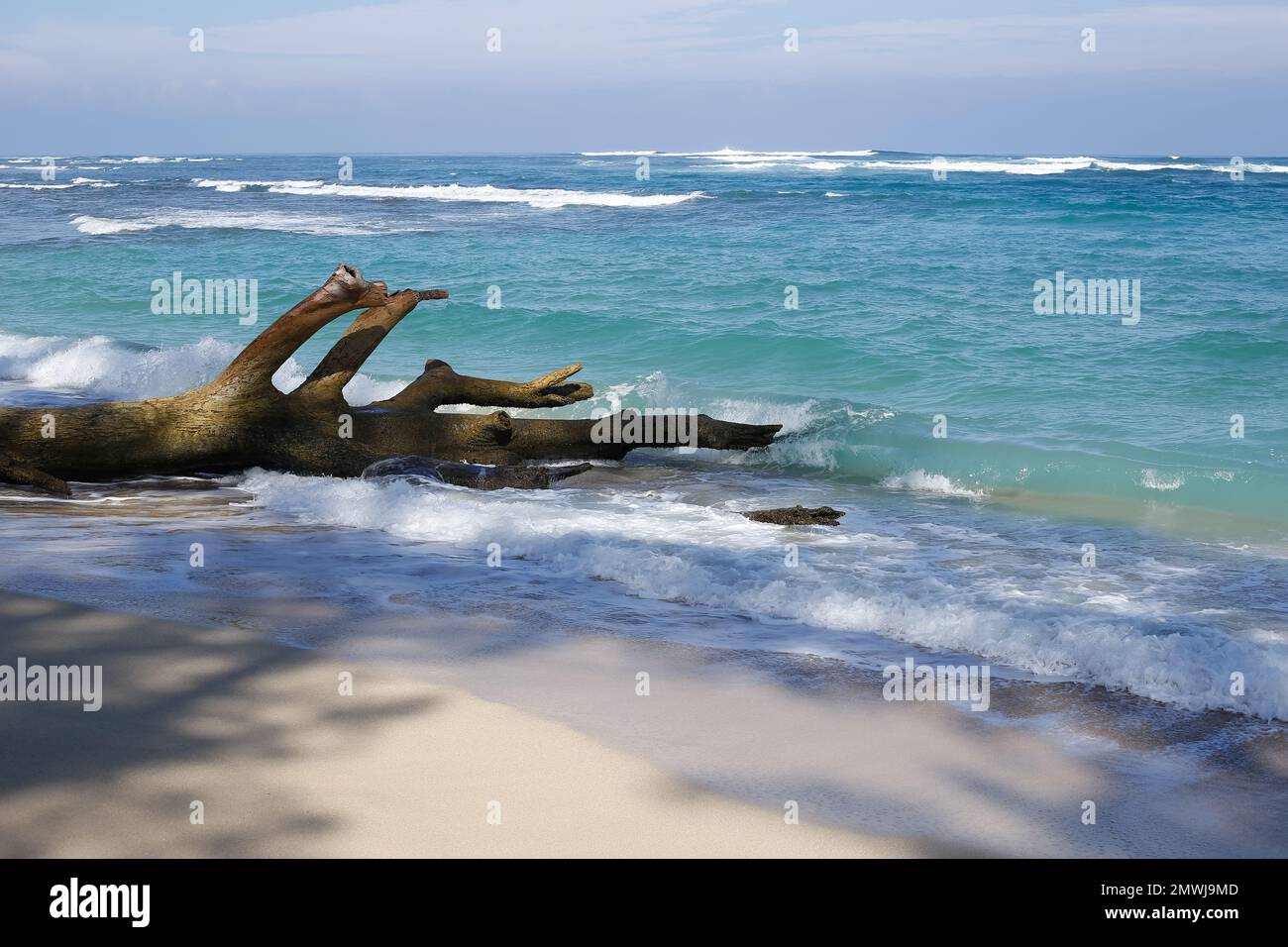 oahu, hawaii, 2023/20/01, Polo beach, Located across from Dillingham