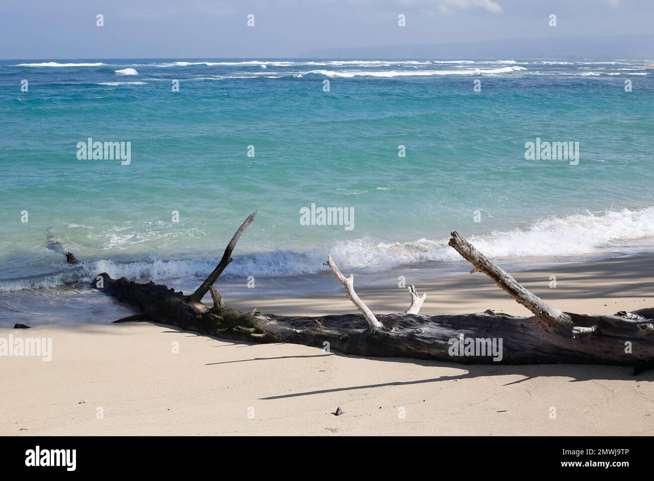 oahu, hawaii, 2023/20/01, Polo beach, Located across from Dillingham