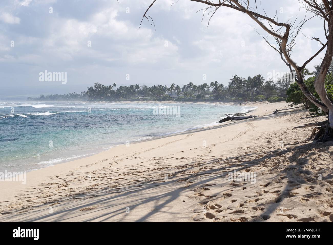 oahu, hawaii, 2023/20/01, Polo beach, Located across from Dillingham