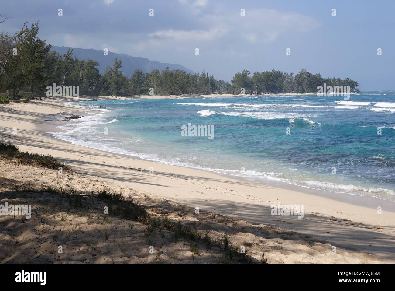 oahu, hawaii, 2023/20/01, Polo beach, Located across from Dillingham