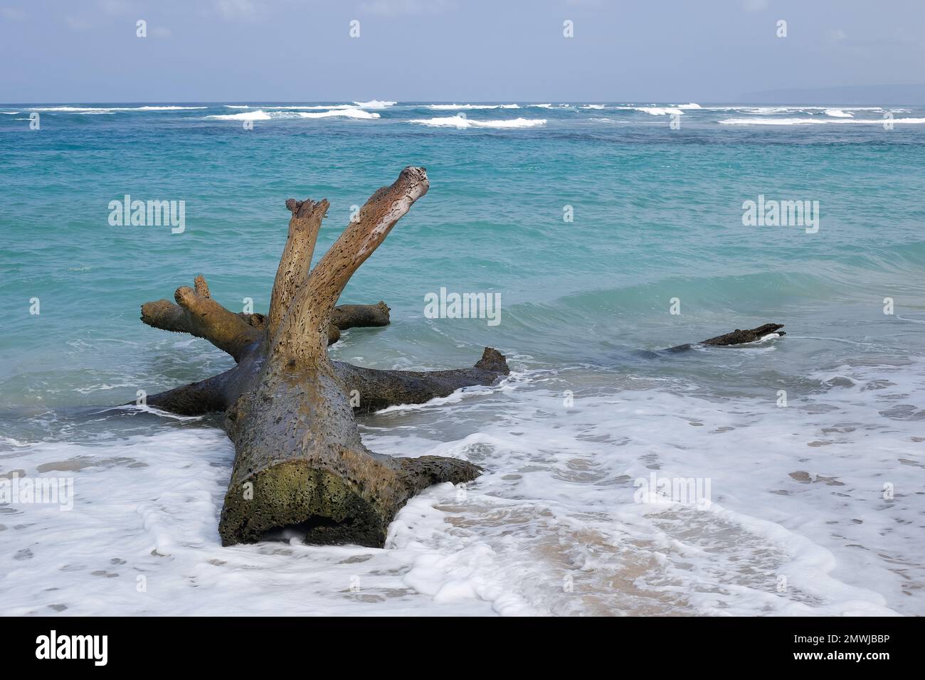 oahu, hawaii, 2023/20/01, Polo beach, Located across from Dillingham