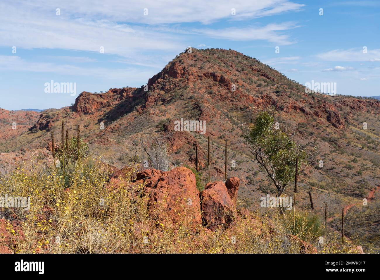 A beautiful view of Mount Painter in Arkaroola, South Australia. Stock Photo