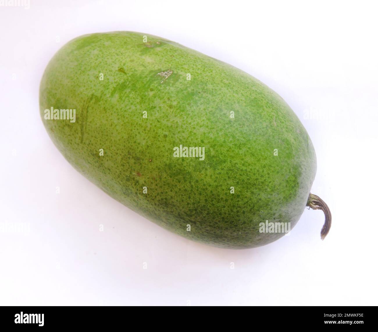 Vegetable - wax gourd. Scientific name - Benincasa hispida. The plant is a vine grown for its very large fruit, eaten as a vegetable when mature. Stock Photo