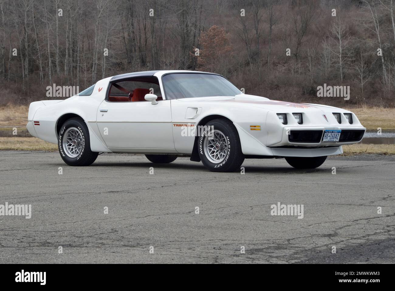 White 1979 Pontiac Trans Am in a low-three-quarter-front view against winter trees in soft light. Stock Photo