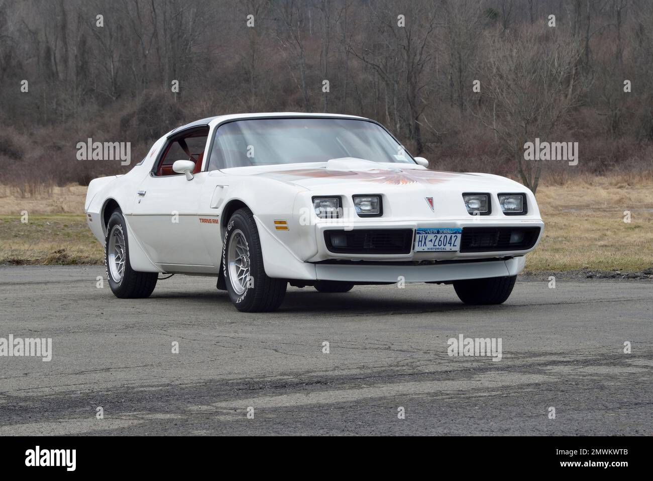 White 1979 Pontiac Trans Am in a three-quarter-front view against winter trees in soft light. Stock Photo