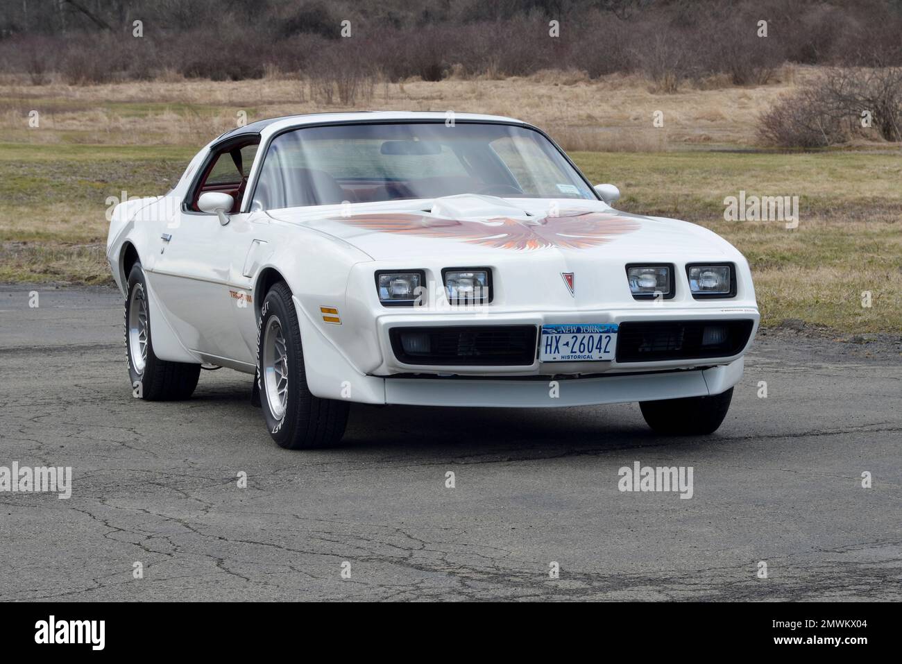 White 1979 Pontiac Trans Am in a high-three-quarter-front view against winter trees in soft light. Stock Photo