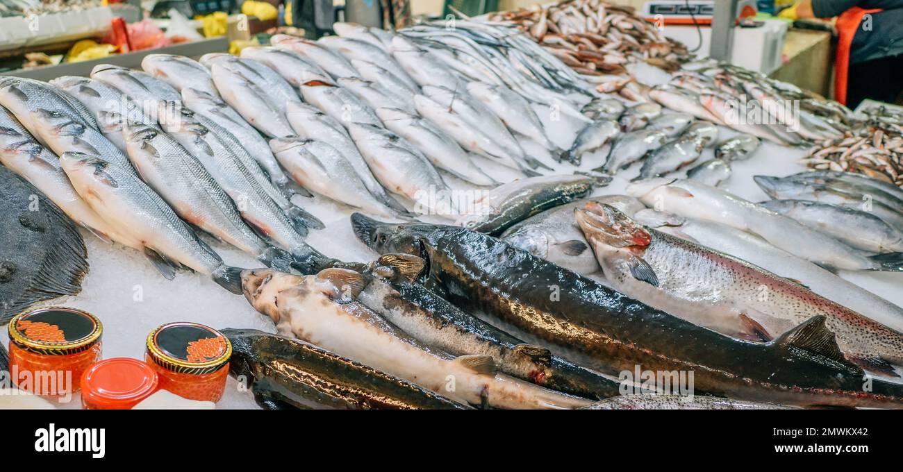 Seafood on ice in fish market shelf. Stock Photo