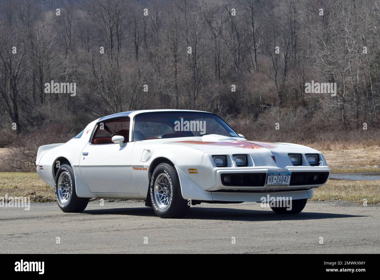 White 1979 Pontiac Trans Am in a low-three-quarter-front view against winter trees in bright sun. Stock Photo