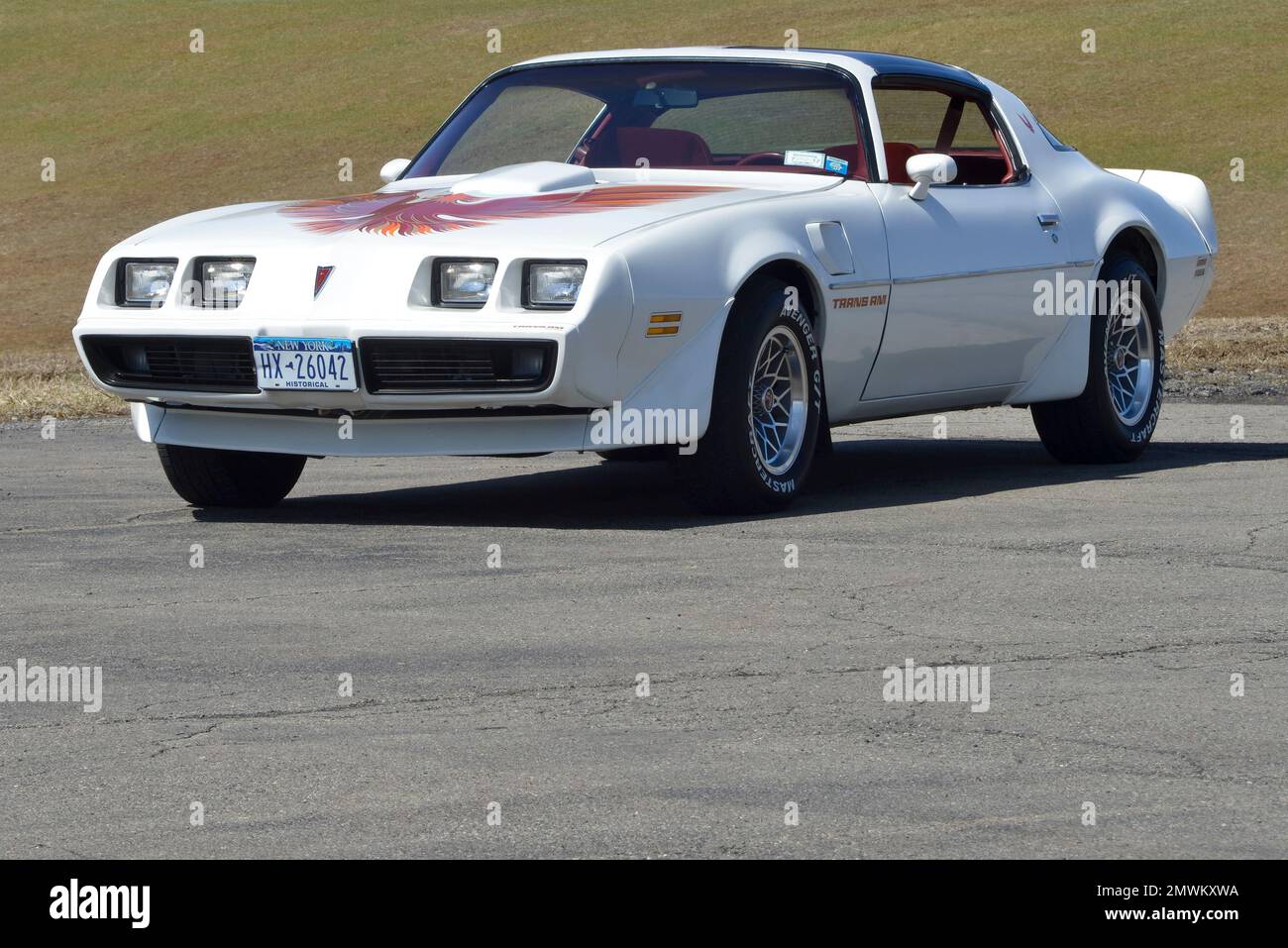 White 1979 Pontiac Trans Am in a three-quarter-front view against grassy background in bright sun. Stock Photo