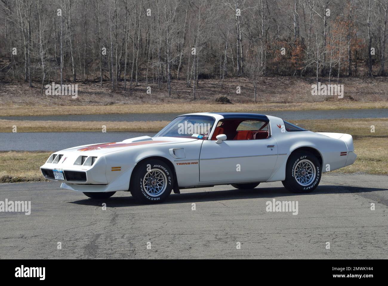 White 1979 Pontiac Trans Am in a high-three-quarter-front view against winter trees in bright sun. Stock Photo