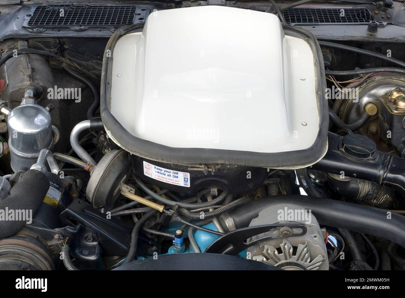 The 301 V-8 in a 1979 Pontiac Trans Am. Stock Photo