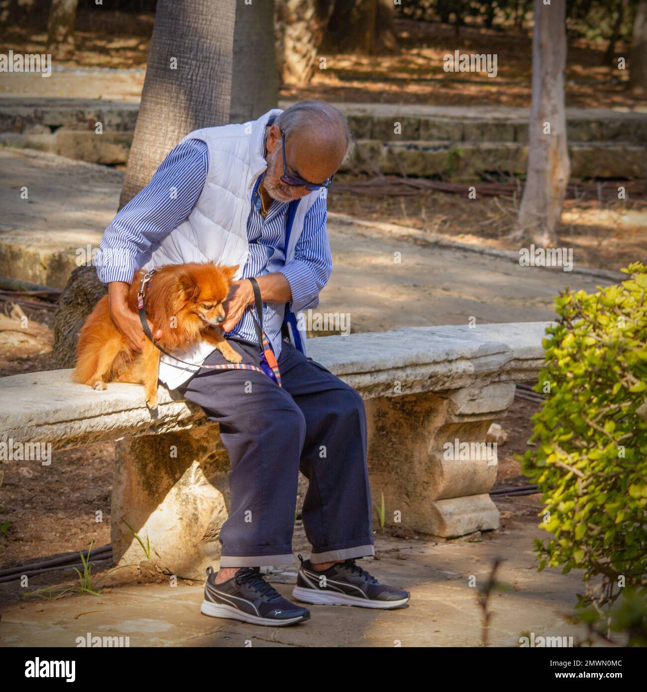 An elderly man with his adorable dog resting on a stone bench after a ...