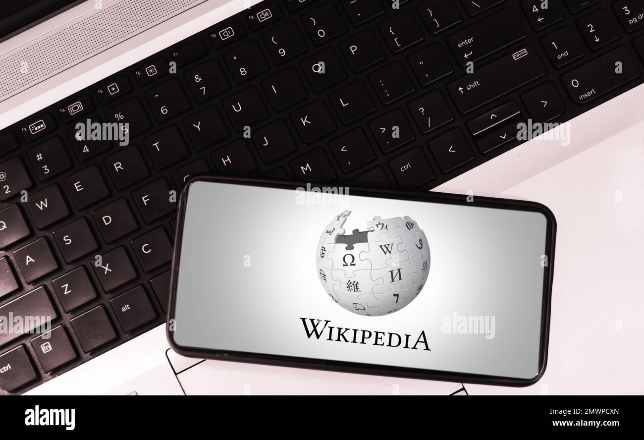 29.1. Pakistan. Online learning and wikipedia editorial background with mobile screen and laptop in the backdrop. Stock Photo