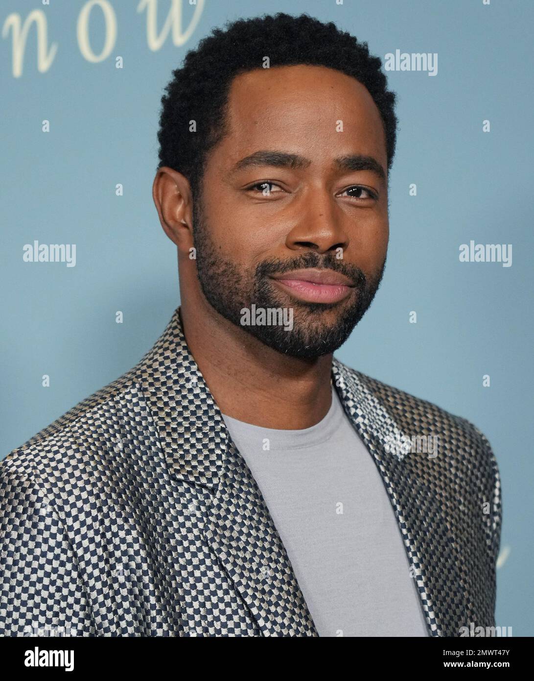 Los Angeles, USA. 01st Feb, 2023. Jay Ellis arrives at the SOMEBODY I