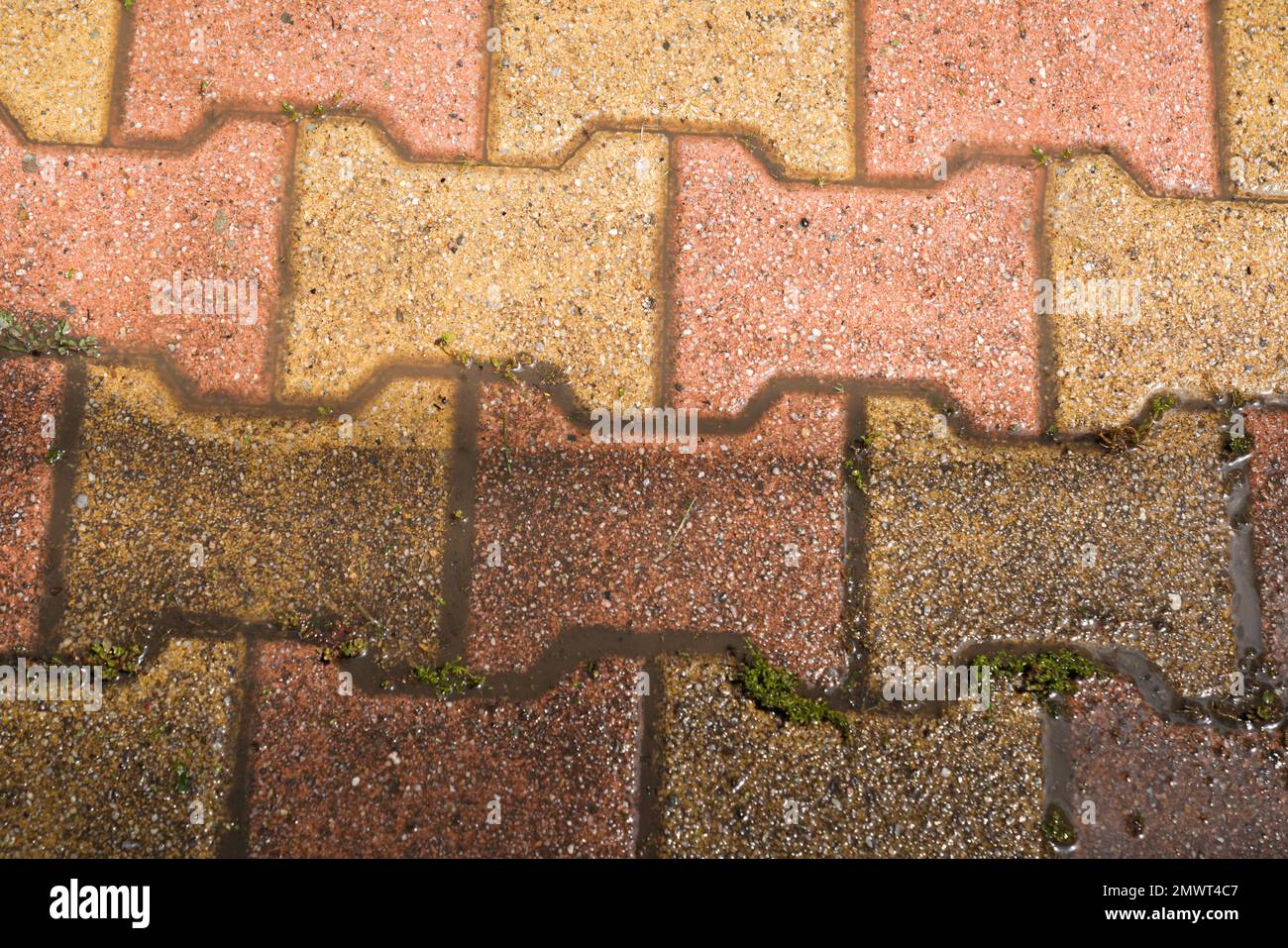 pavement dirt old auto block slab paving slabs floor dirty clean pressured washed concrete