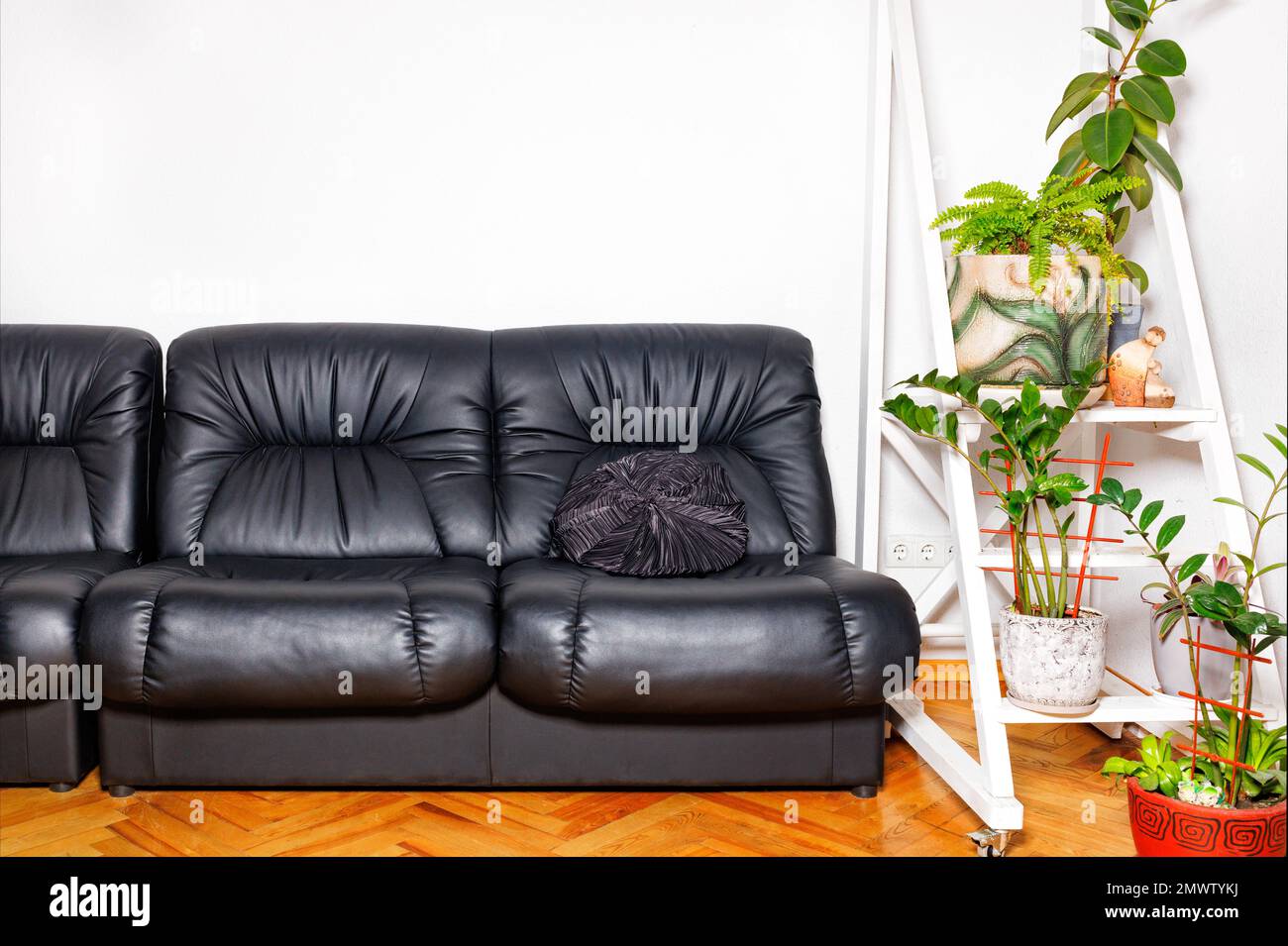 Black leather armchairs in the interior of the rest room of an office space with green flowers against a snow-white wall. Copy space. Stock Photo