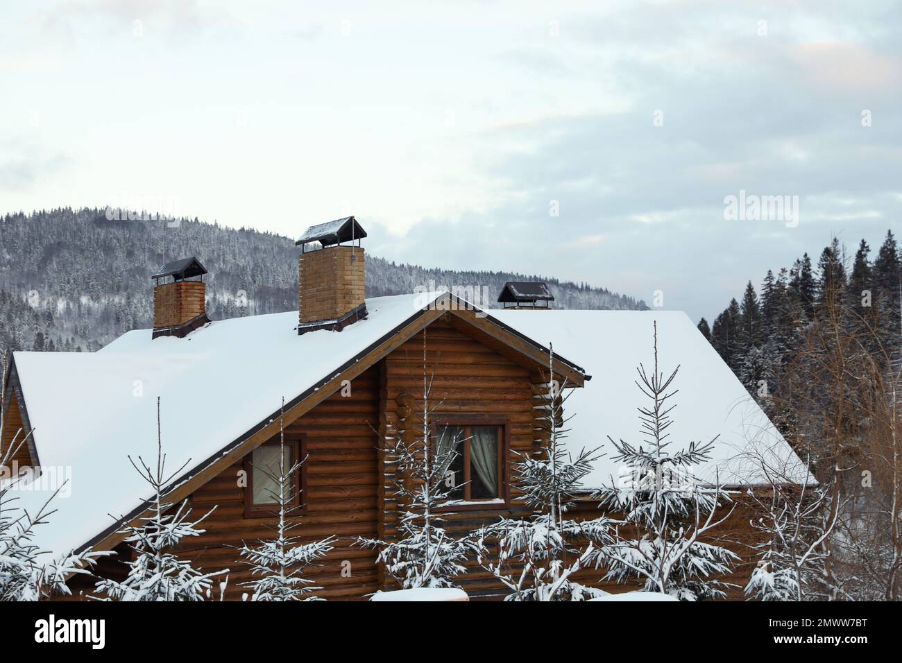 Wooden cottage and fir trees covered with snow in winter morning Stock ...