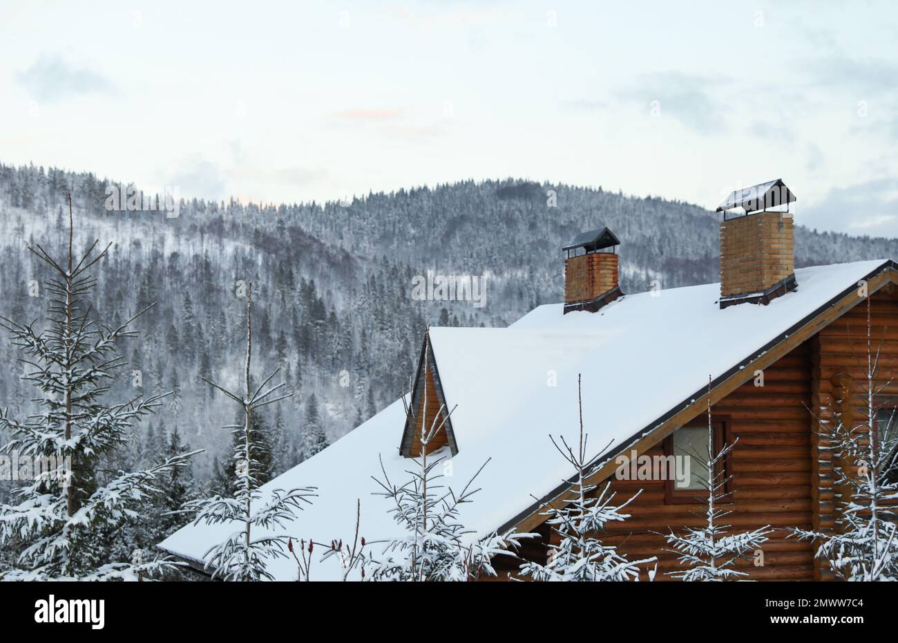 Wooden cottage and fir trees covered with snow in winter morning Stock ...