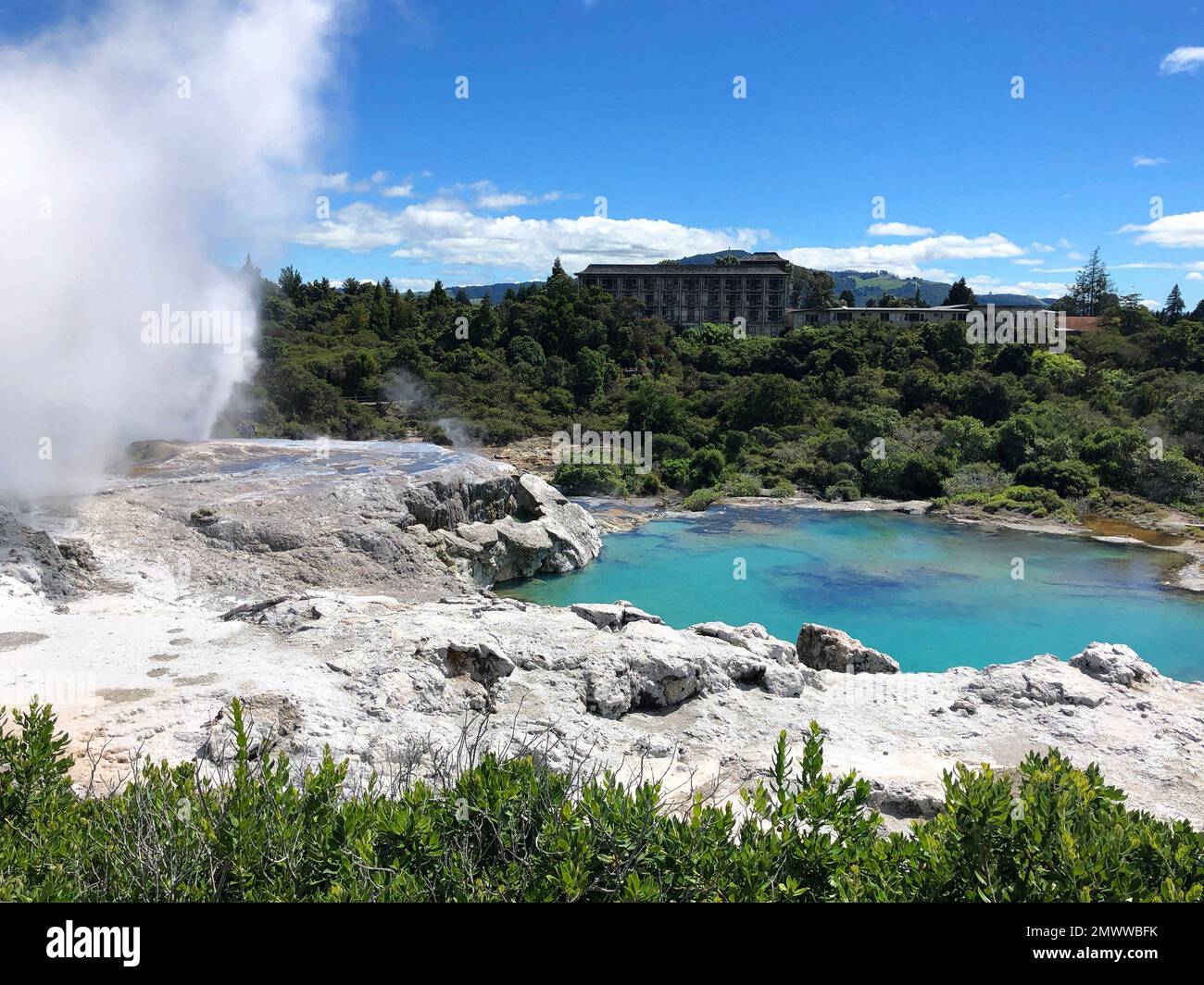 Title Rotorua geothermal hot spring geyser erupting and thermal mud