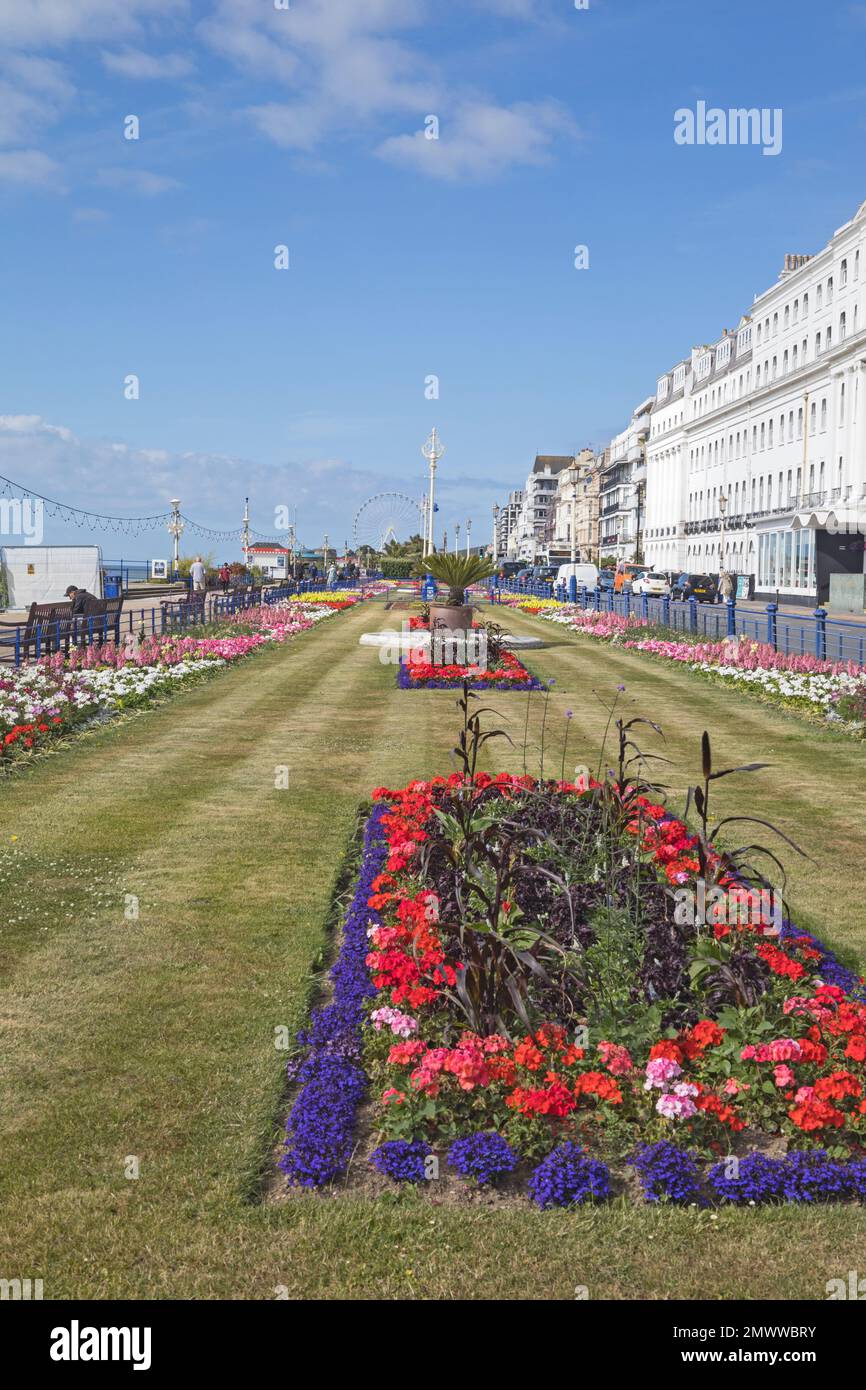 Carpet or Seafront Gardens, Eastbourne, East Sussex, England, UK Stock