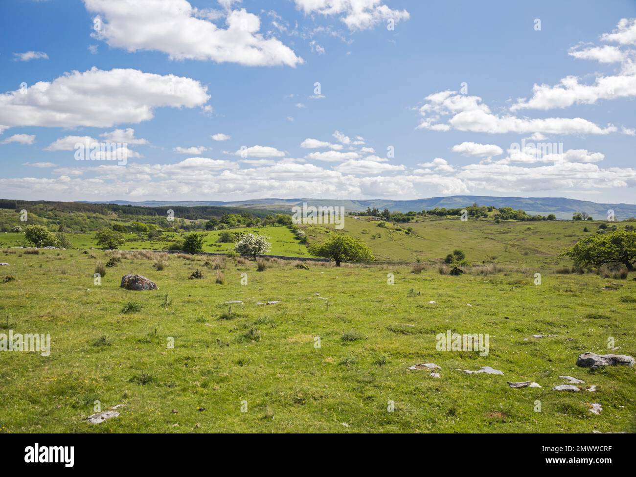 Moorland above Ystradfellte, Brecon Beacons National Park, Powys, South