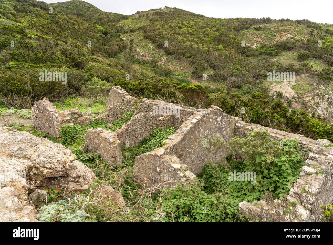 Ruinen der Casas de Tafada, Teneriffa, Kanarische Inseln, Spanien |  Casas de Tafada ruins, Tenerife, Canary Islands, Spain Stock Photo