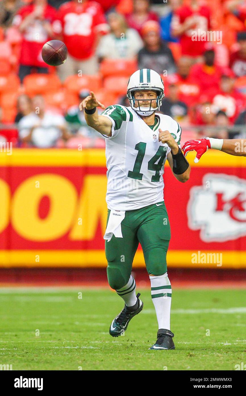 New York Jets quarterback Ryan Fitzpatrick (14) throws a pass during an