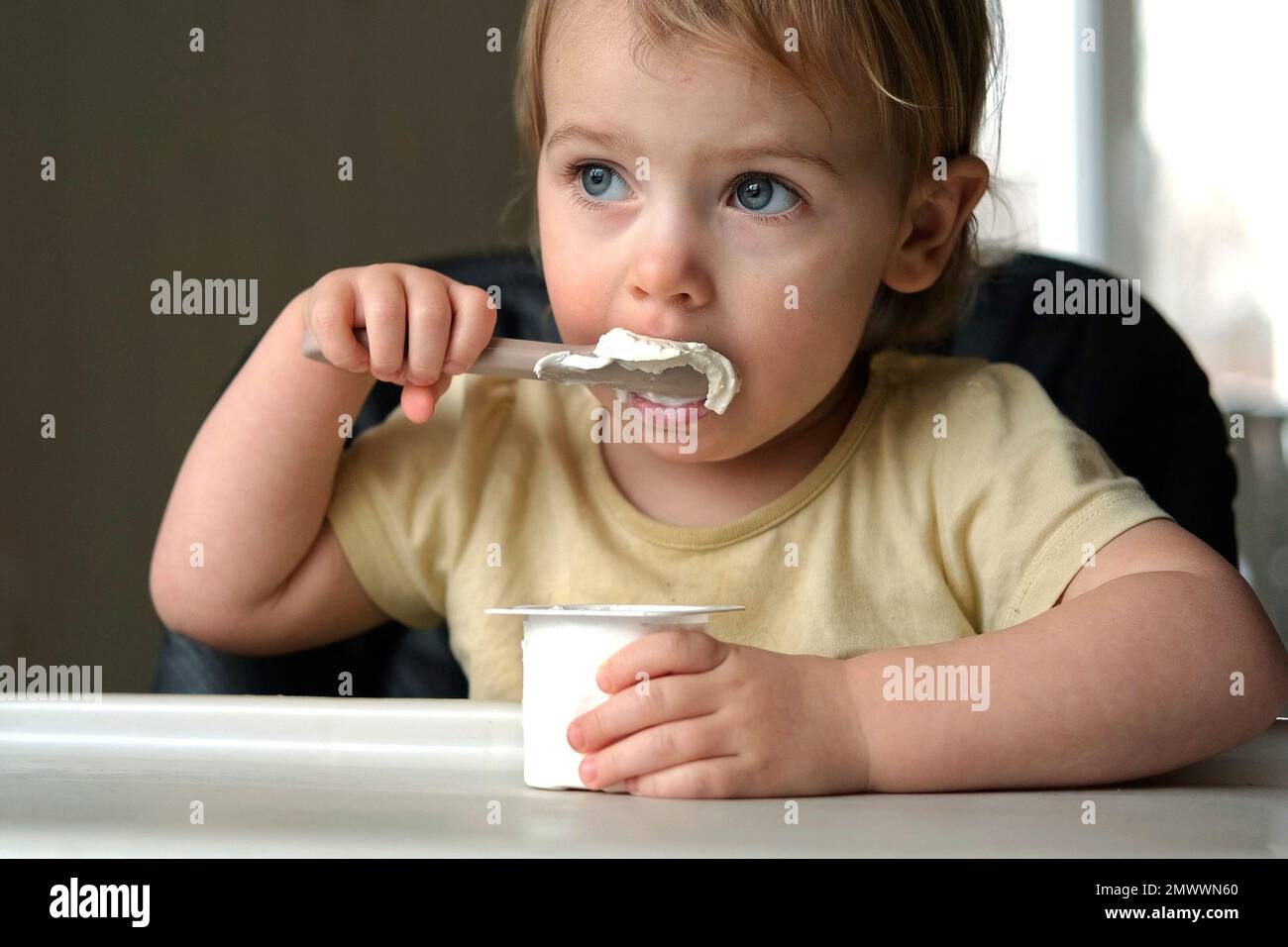 Young Kid Eating Blend Mashed Feed Sitting in High Chair. Baby Weaning
