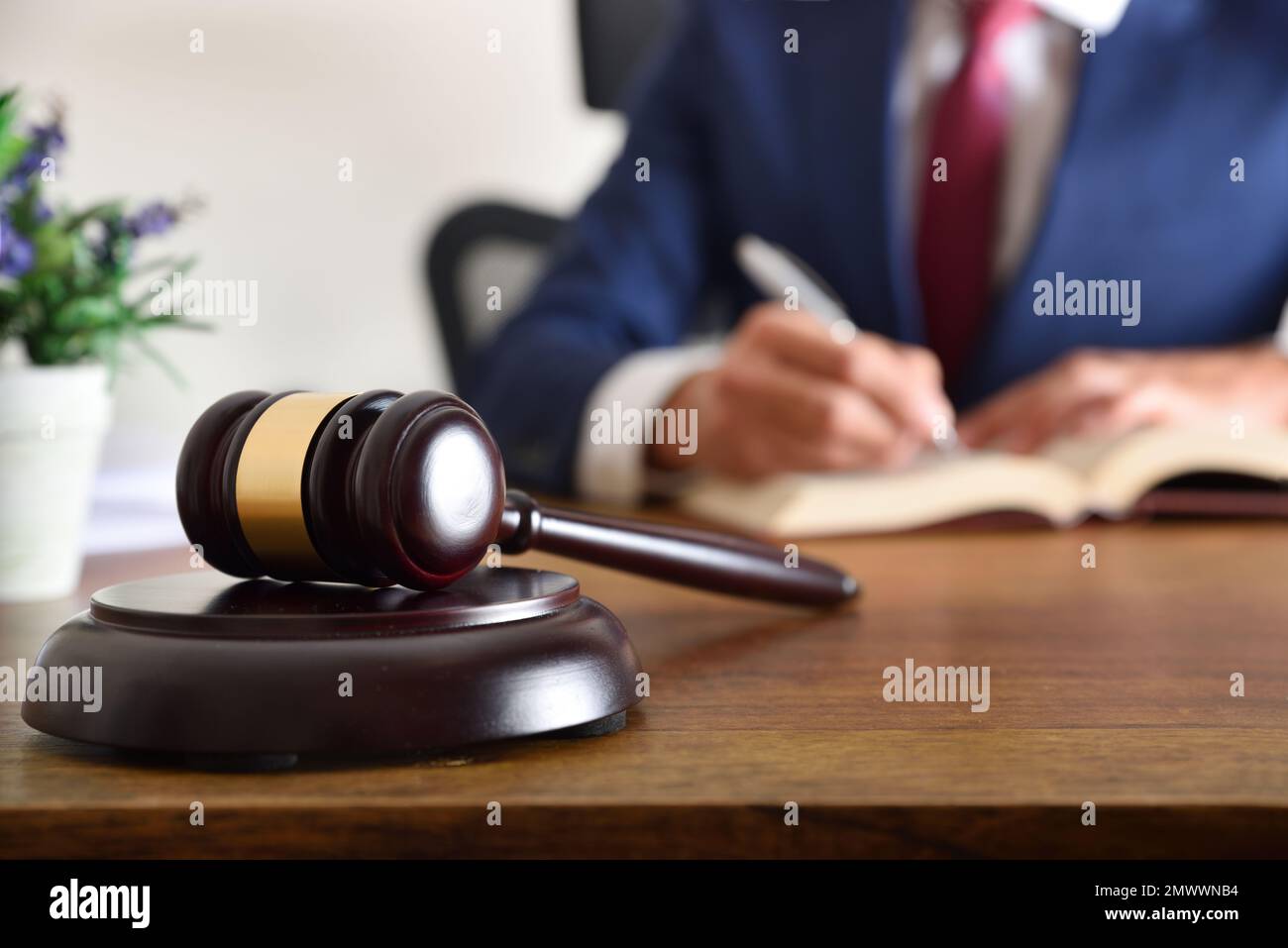 Detail of gavel and lawyer dressed in the toga signing a document on wooden table. Front view Stock Photo