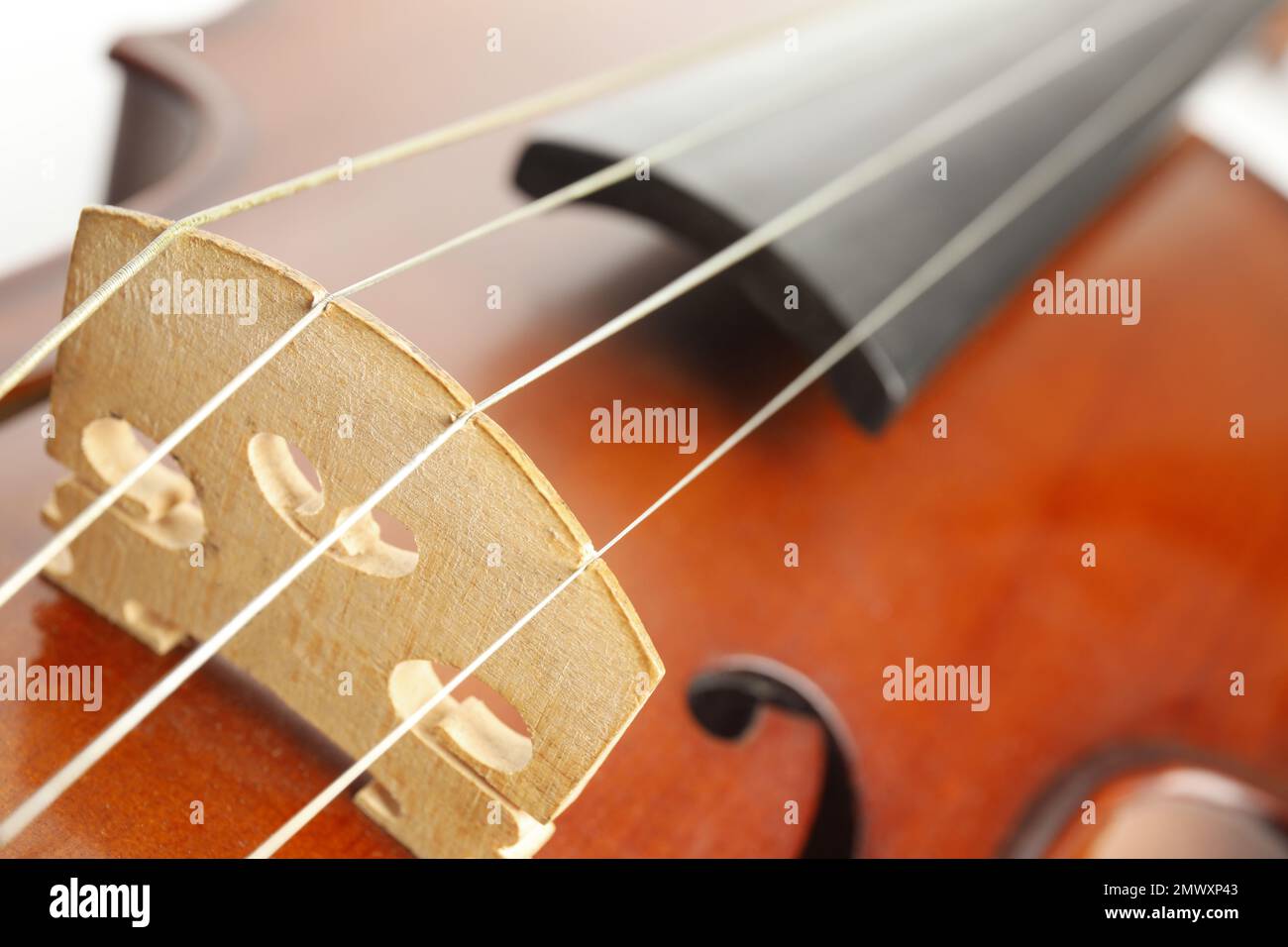 Beautiful classic violin, closeup view. Musical instrument Stock Photo