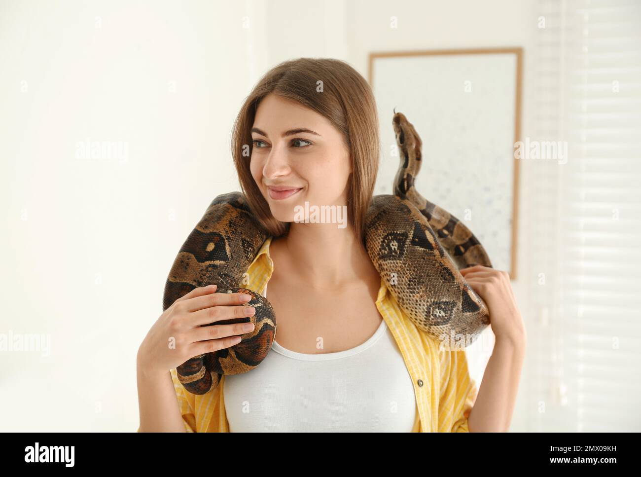 Young woman with boa constrictor at home. Exotic pet Stock Photo - Alamy