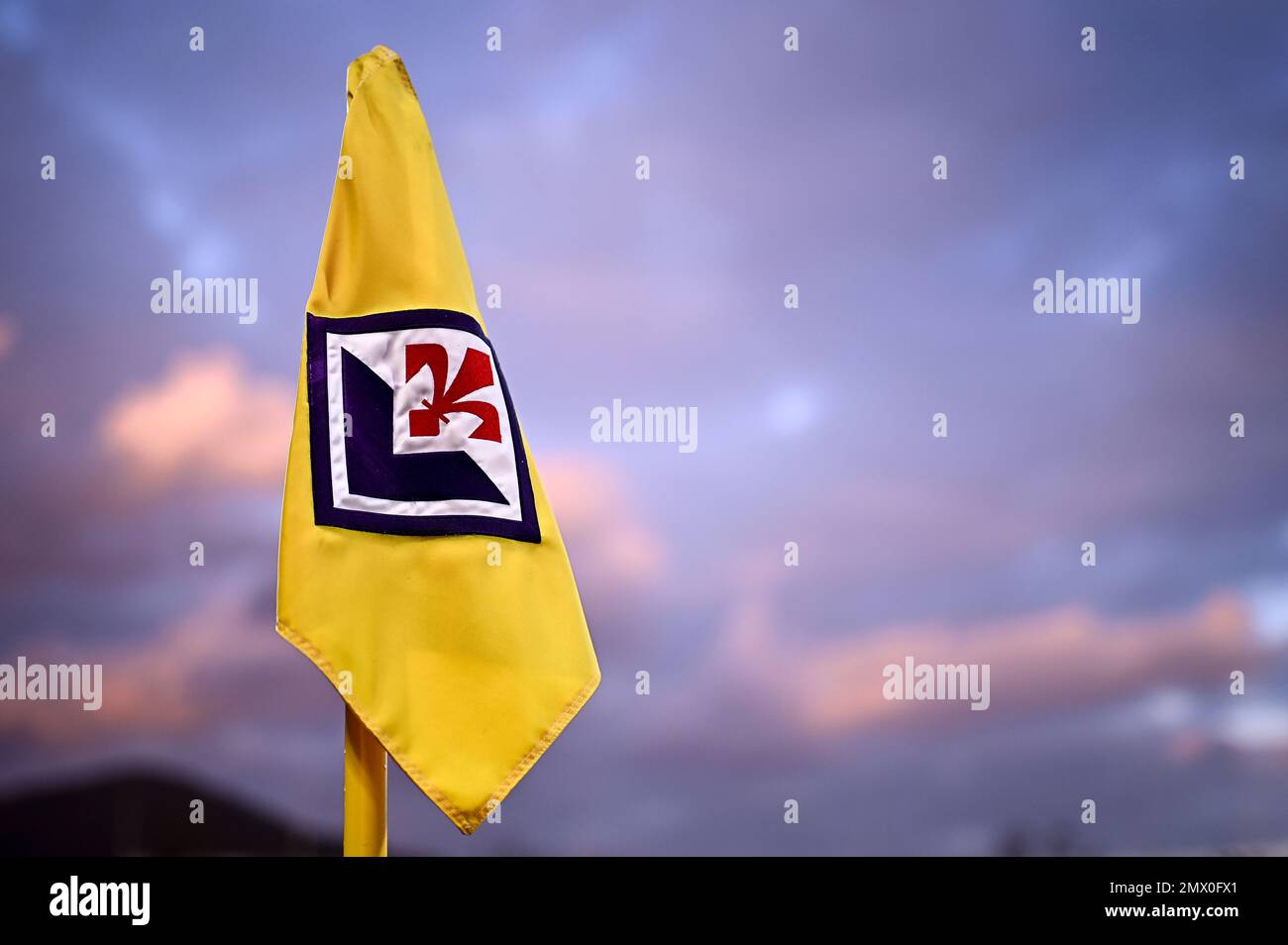 Fiorentina florence flag hi-res stock photography and images - Alamy