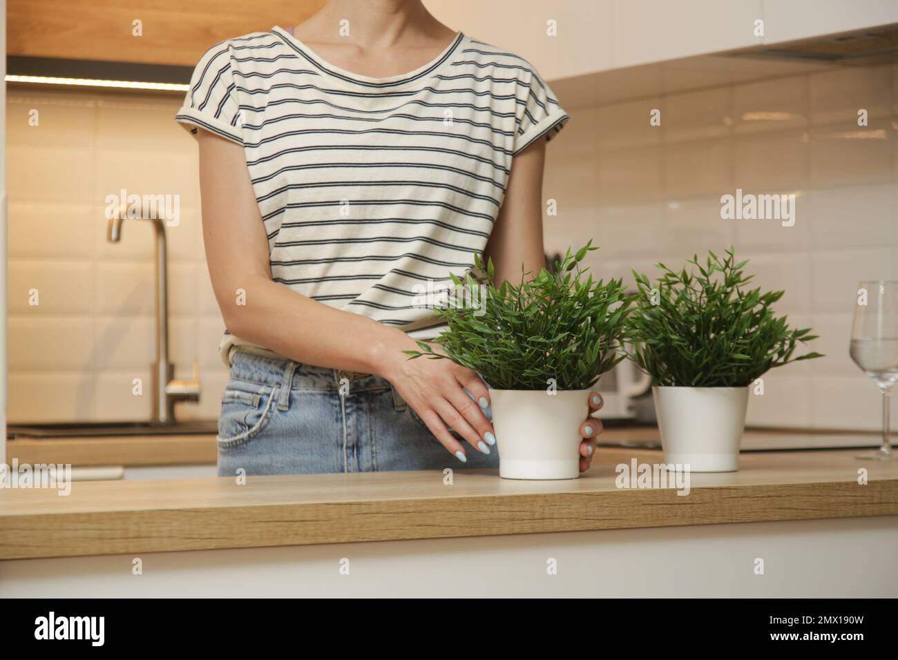 Woman arranging pots with herbs in her kitchen Stock Photo