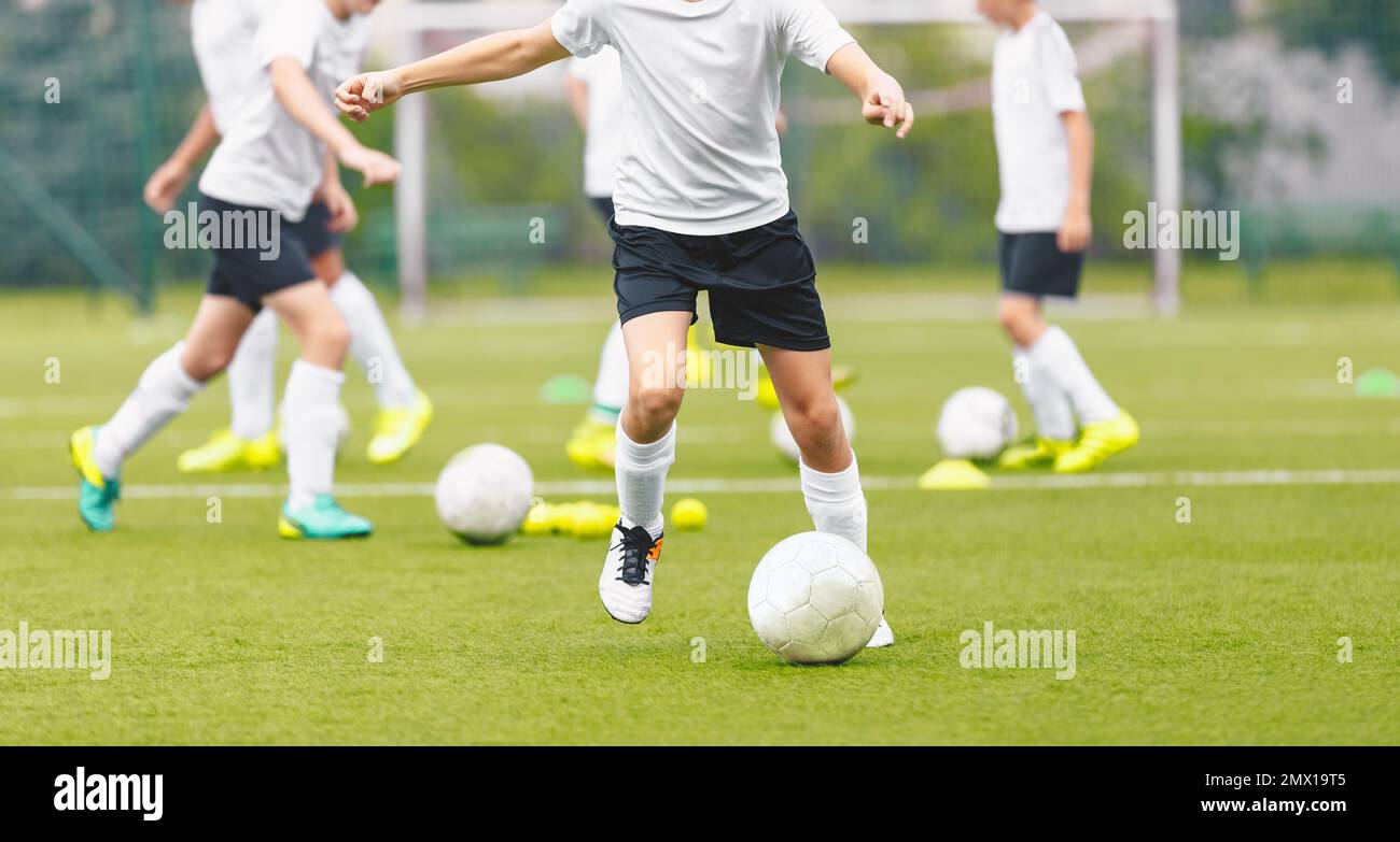 Children on Soccer Training. Group of Young Boys Kicking Football Balls