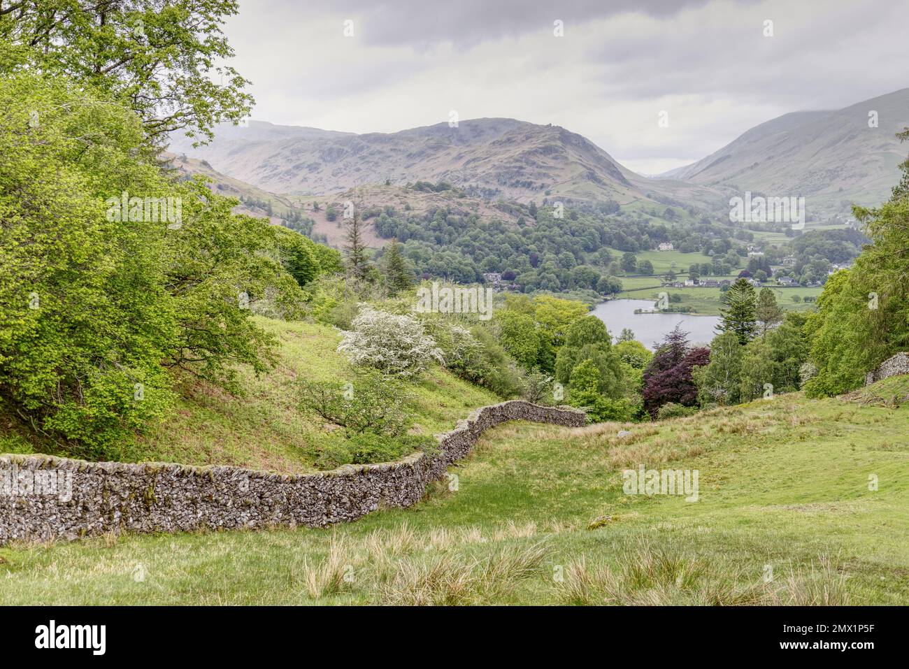 English Lake District, Cumbria, UK - View towards Grasmere lake on the footpath between Elterwater and Grasmere with stone built wall leading downhill Stock Photo