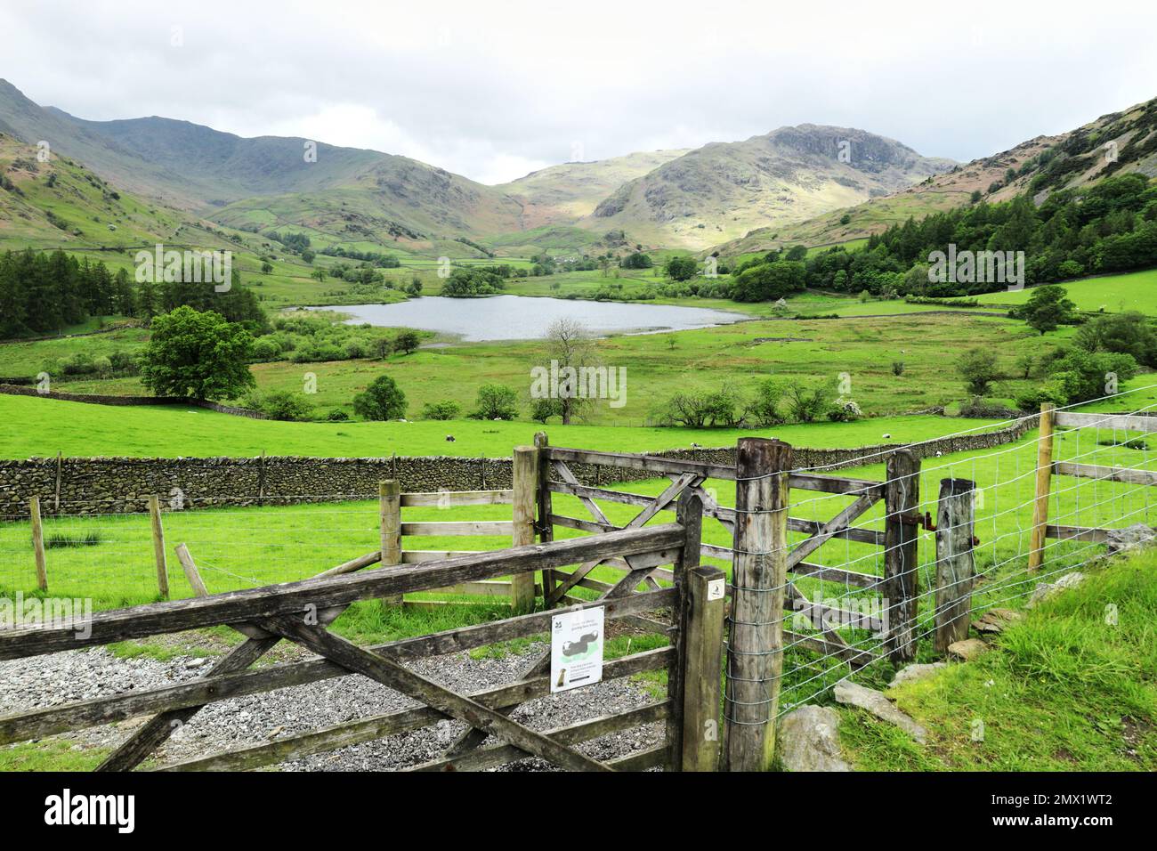 Langdale Valley, Lake District, Cumbria, England, UK - Farmland, gates, fences, mountains, Little Langdale tarn and woodlands in the valley Stock Photo