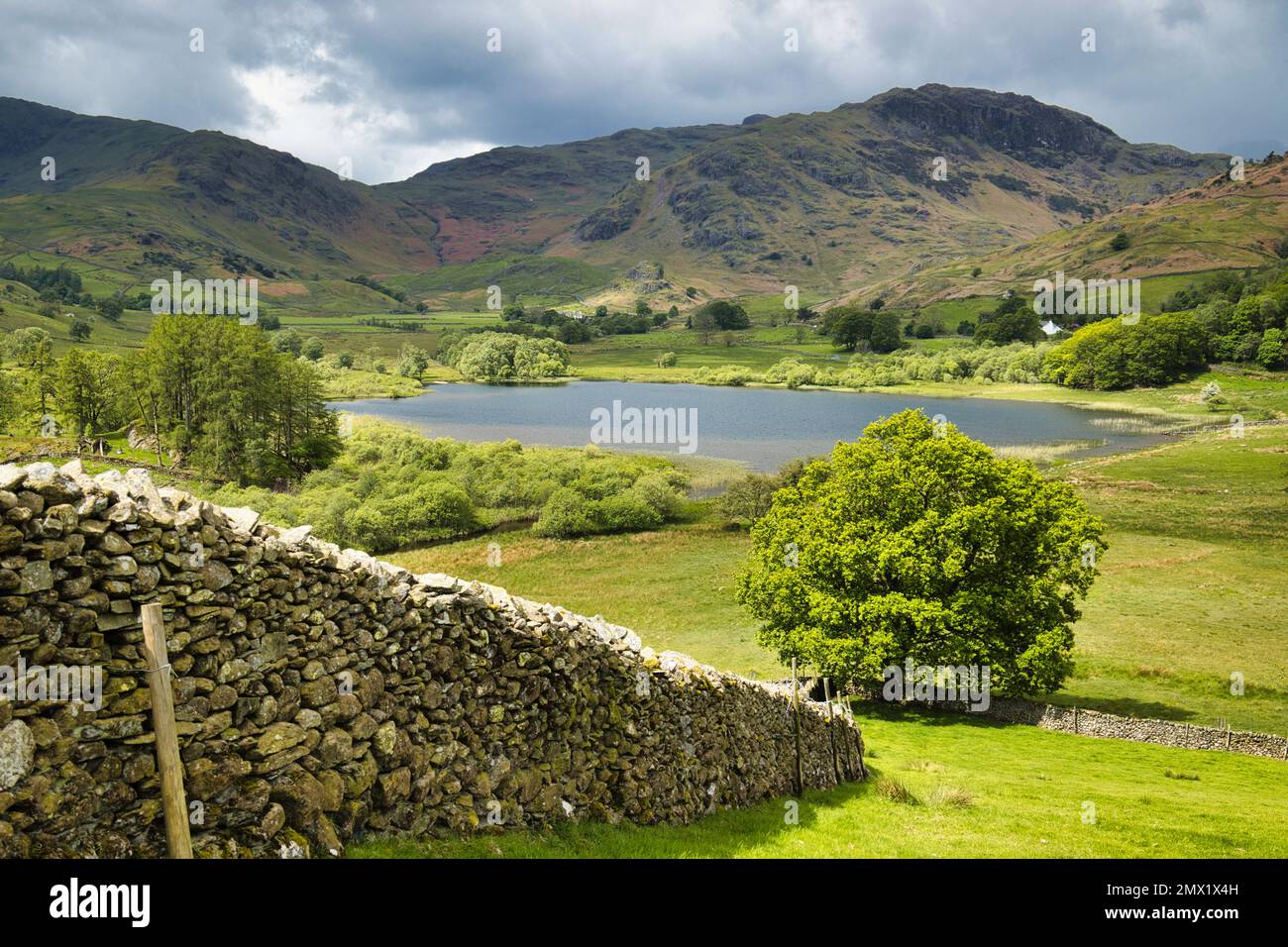 Langdale, Lake District, Cumbria, England, UK - Farmland, mountains, Little Langdale tarn, a stone built wall and woodlands in the valley Stock Photo