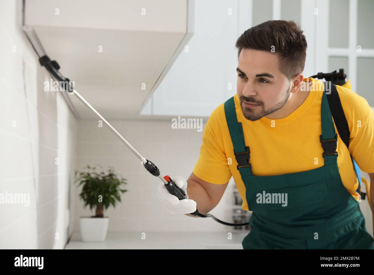 Pest control worker spraying insecticide on furniture in kitchen Stock