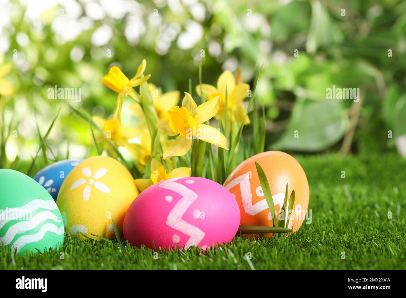 Colorful Easter eggs and daffodil flowers in green grass Stock Photo ...