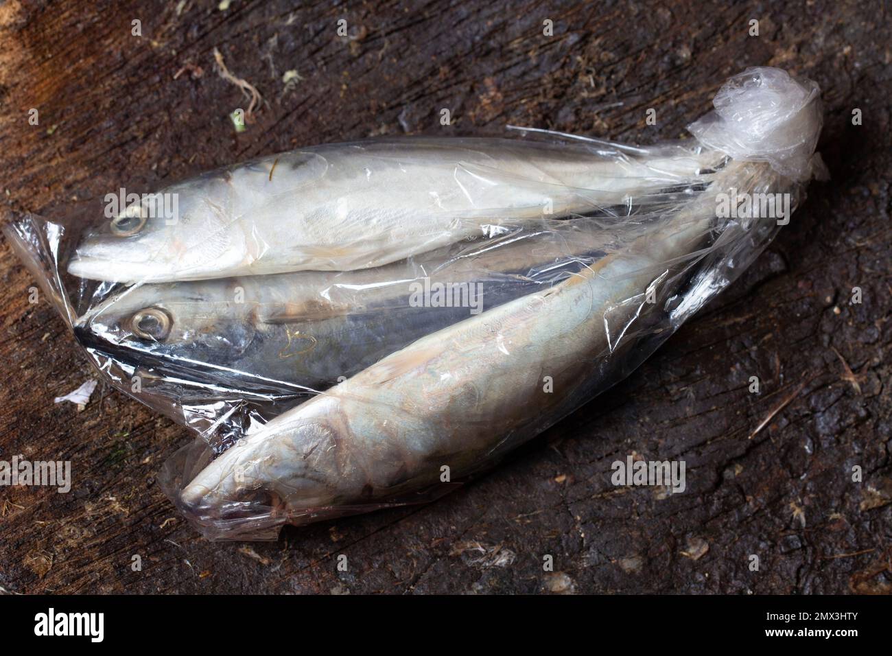 mackerel in plastic on a wooden cutting board at a traditional market in  Jakarta Stock Photo - Alamy